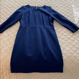 Long sleeve J Crew dress